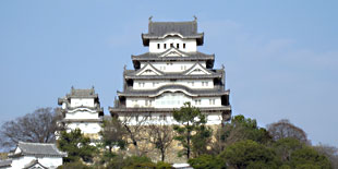 400年の時を超え、日本の宝から世界の宝へ
